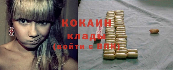 PSILOCYBIN Кодинск