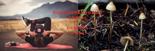 бошки Костерёво