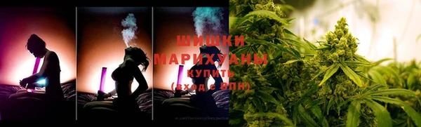 PSILOCYBIN Кодинск
