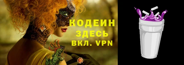 СК Козельск