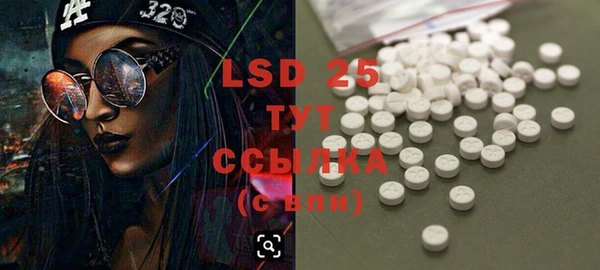 PSILOCYBIN Кодинск