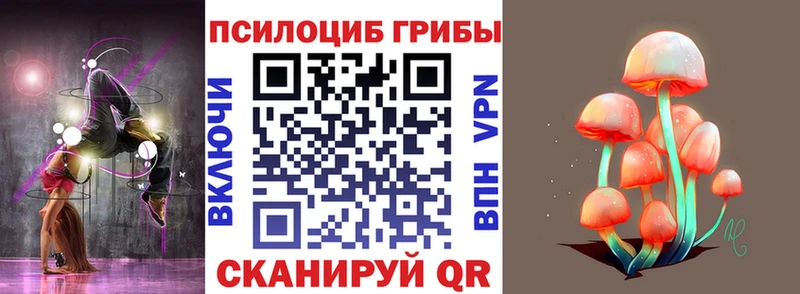где купить   Миньяр  MEGA как войти  Псилоцибиновые грибы прущие грибы 